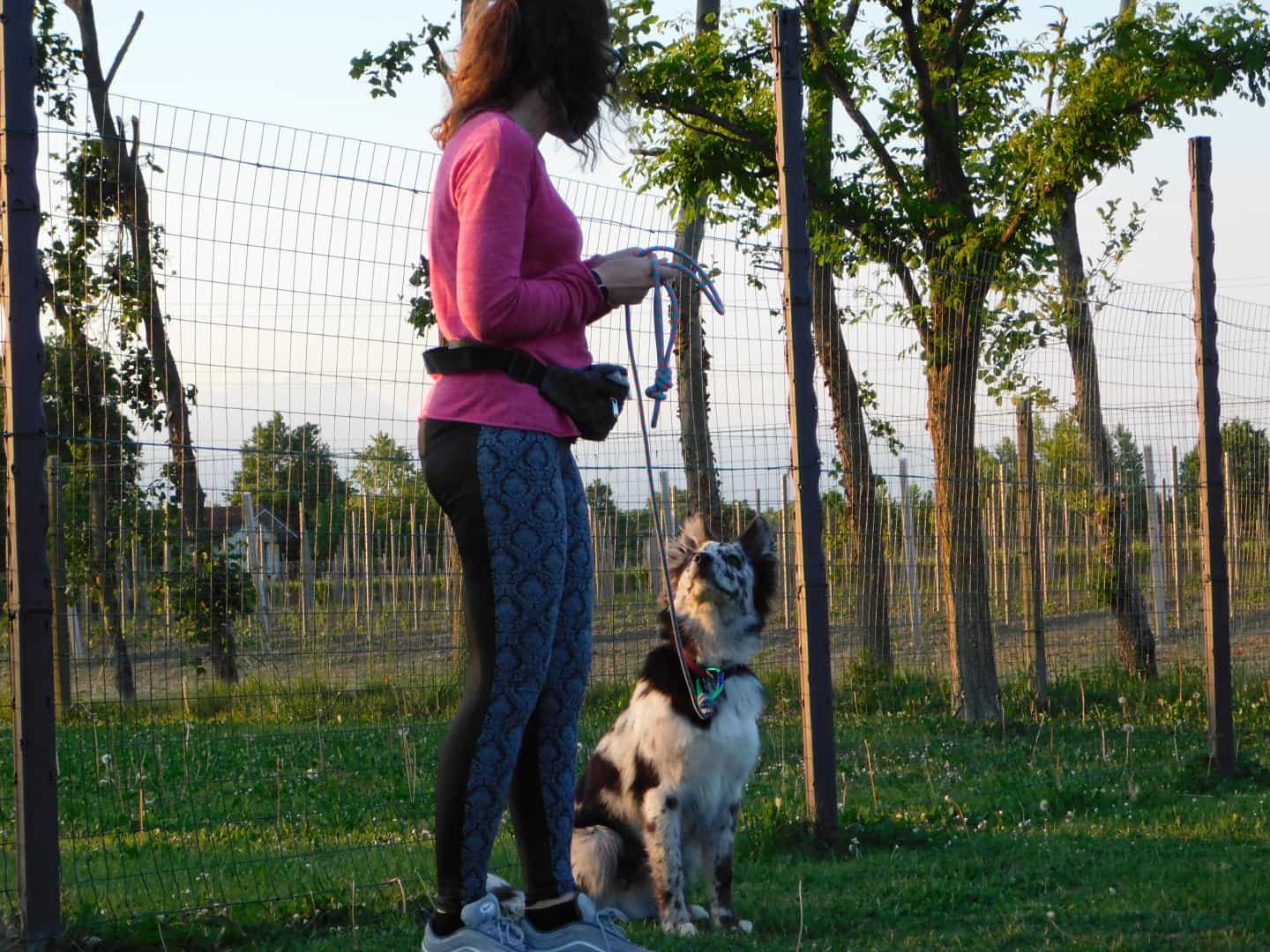 foto di persona e cane